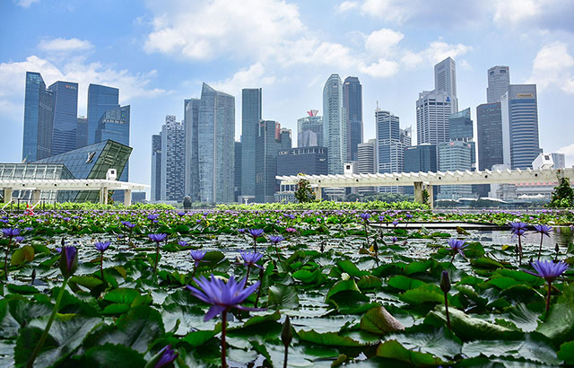 Green Escapes in Singapore’s CBD